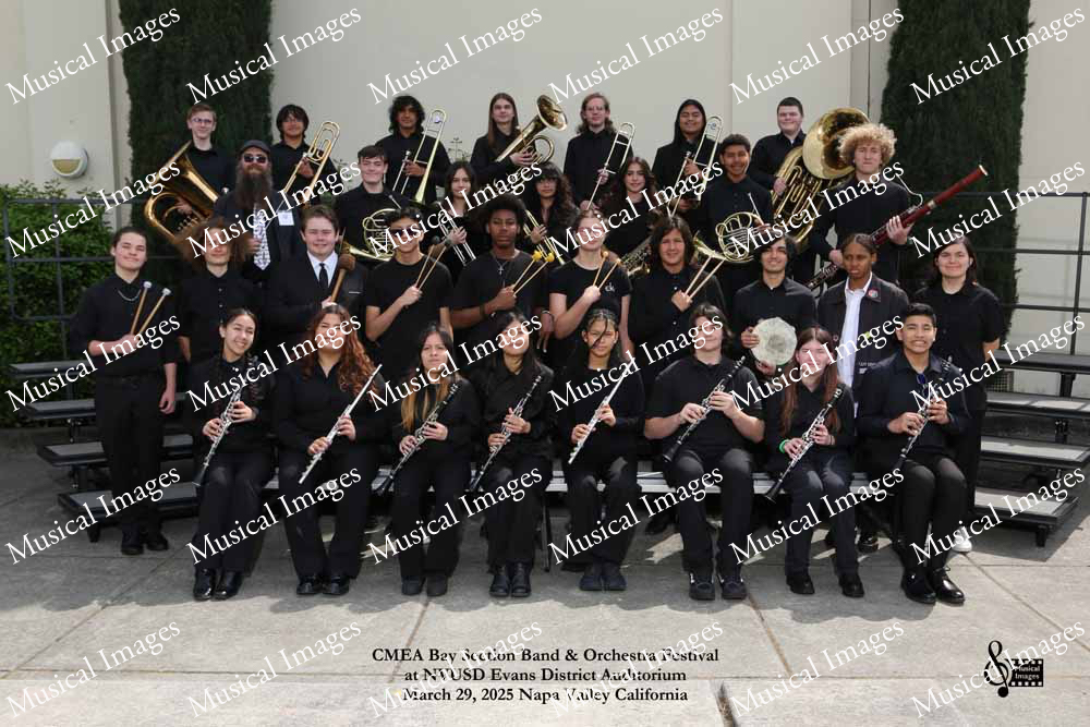 Musical Images